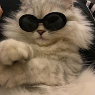 ⋆⸜☾‎さんのアイコン画像