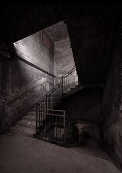 枯れないテッセンの花束を君に