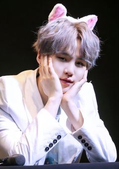 ネコ拾いました。