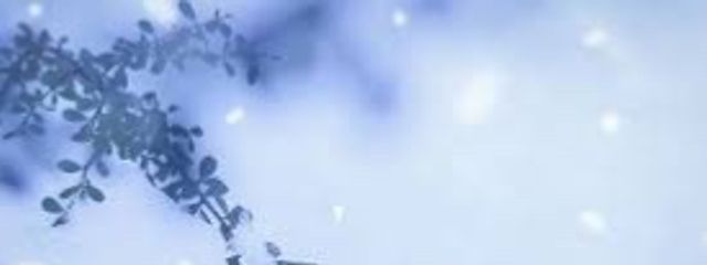 翡翠⋆⸜💚⸝‍⋆@低浮上さんの壁紙画像