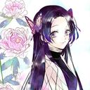 💐胡蝶カナエ🦋