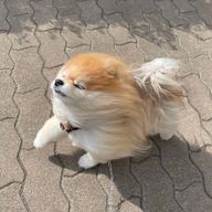サンモリッツさんのアイコン画像