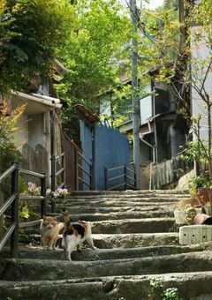 ひとりごと