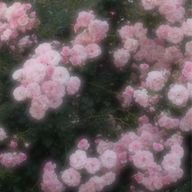 汐さんのアイコン画像