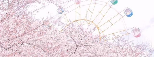 ︎ ︎ ︎ ︎ ︎# ︎ ︎ ︎ ︎ ︎虹花 ︎ ︎³さんの壁紙画像