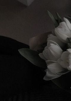 アイドルに恋をした