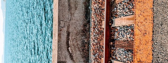 シェンさんの壁紙画像