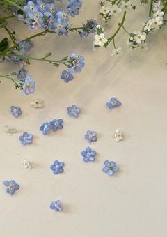 #petal