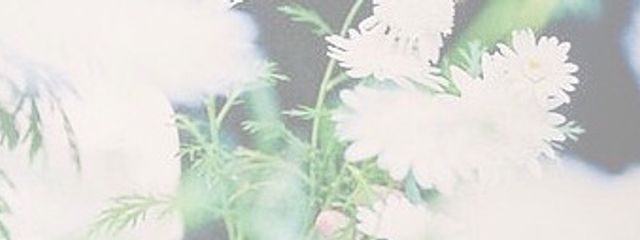 a . k __.さんの壁紙画像