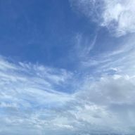 Meeeeさんのアイコン画像