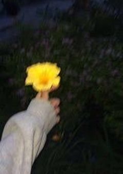 倦 怠 期 で も 愛 し て ね ，