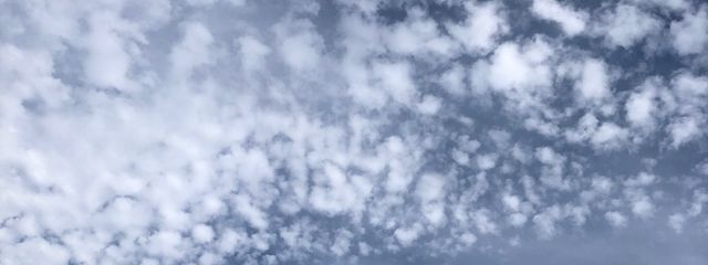 かとさんの壁紙画像