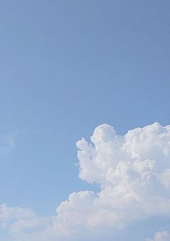 呪い の 首輪 を 君に  。