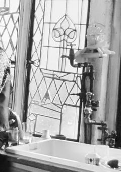 蛇寮の姫は今日も