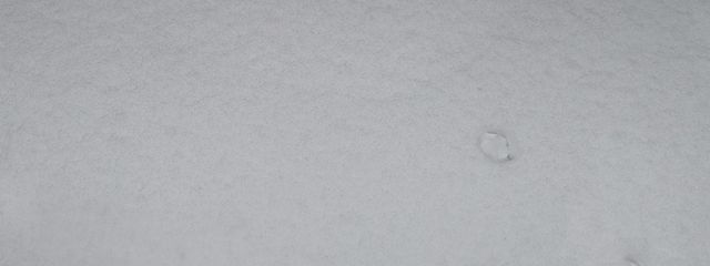 白鳩音夢@誰かネタくれ🤲弟とペアがちゅーさんの壁紙画像