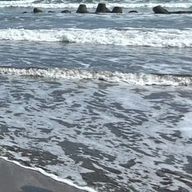 桜琥珀🫧‪🩵🐱#病んでちゃダメですか…？4月から低浮上さんのアイコン画像