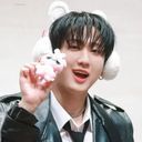 🐷🐰