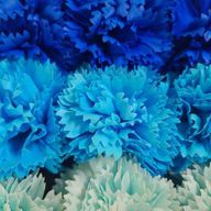 柊奈さんのアイコン画像