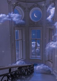 　𝘬𝘯𝘮𝘤 . 迷い込んじゃったニンゲンさん