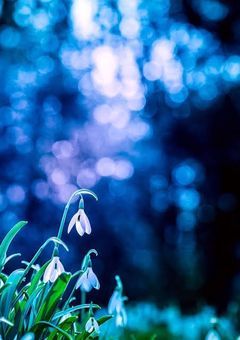 二人一組になってください　b-version