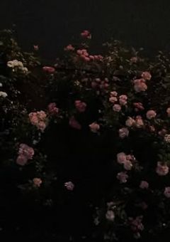 白鳥さんのトリセツ