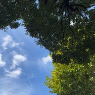 かのさんのアイコン画像