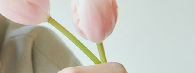 𝓐𝓻𝓲𝓼𝓪🍼さんの壁紙画像