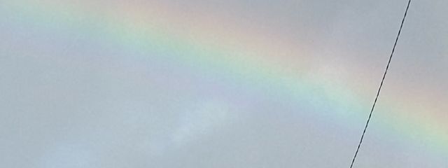 ぴのさんの壁紙画像