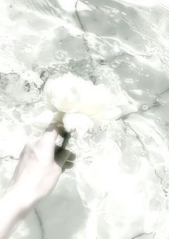  ☂︎ 君 の 全部 が 愛 おしい ⋆‎ ˙