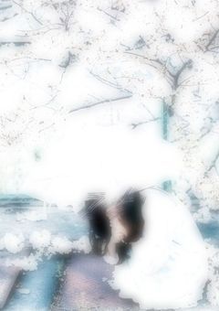  ☂: 幸せに身を焦がしてるんだ °｡⋆