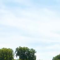 ぴなさんのアイコン画像