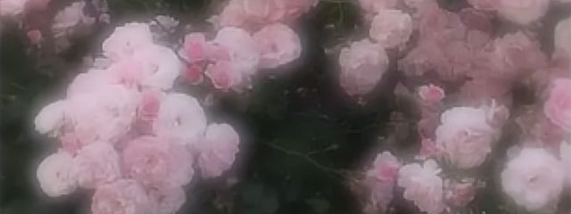 淡 澤　美 薔　．🥀さんの壁紙画像