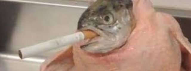まっちゃさんの壁紙画像