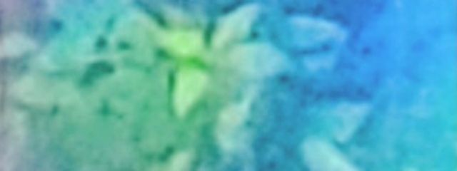 　♭ 　と  く  め ～ 　❗さんの壁紙画像