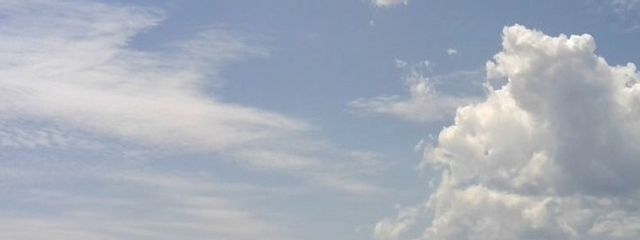 くじらさんの壁紙画像