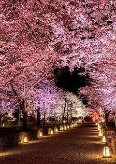 【和風物語】桜の国の姫の運命…