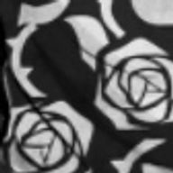 ‎𖤐 ̖́-‬ඞිඩිඩීඩ❄︎.*さんのアイコン画像