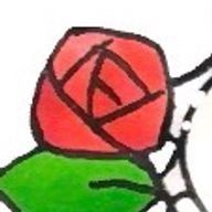 ‎𖤐 ̖́-‬ඞිඩිඩීඩ❄︎.*さんのアイコン画像