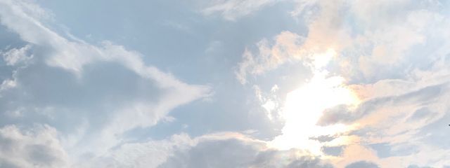 みゅうさんの壁紙画像