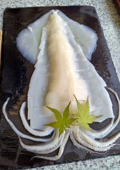 雑談したい