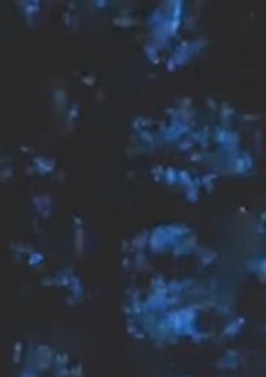 【　sxxn．】　常闇月虹廻りて　＿＿＿＿　。