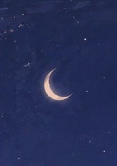 夜音さん、バイト始めたらしい。
