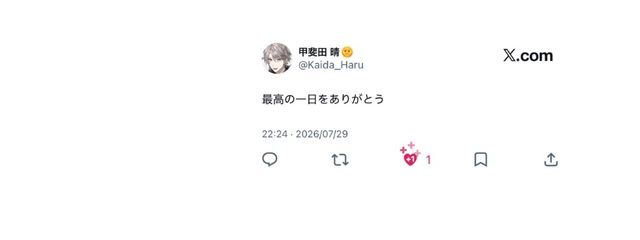 　　姉御さんの壁紙画像