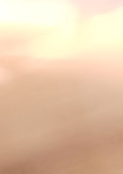 最強は他に居た……！？