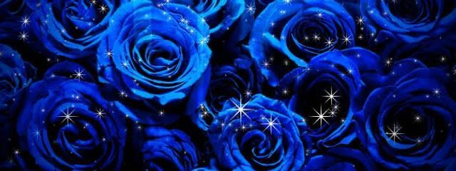 619-yさんの壁紙画像