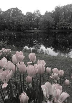 り く え す と 〜 ♩