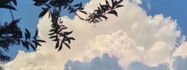 額縁₃さんの壁紙画像