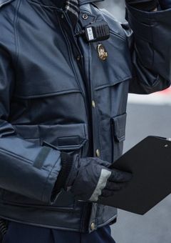 囮警察「西虹スティンガース」