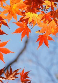 進むしかないやん。