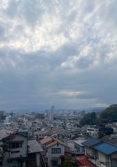 お久しぶりです